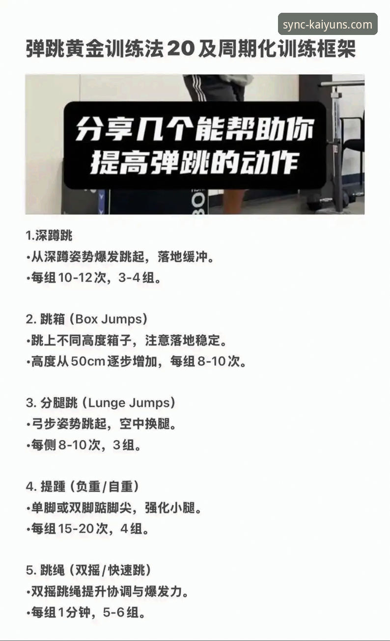 KAIYUN体育官网使用技巧：从入门到精通的完整操作教程